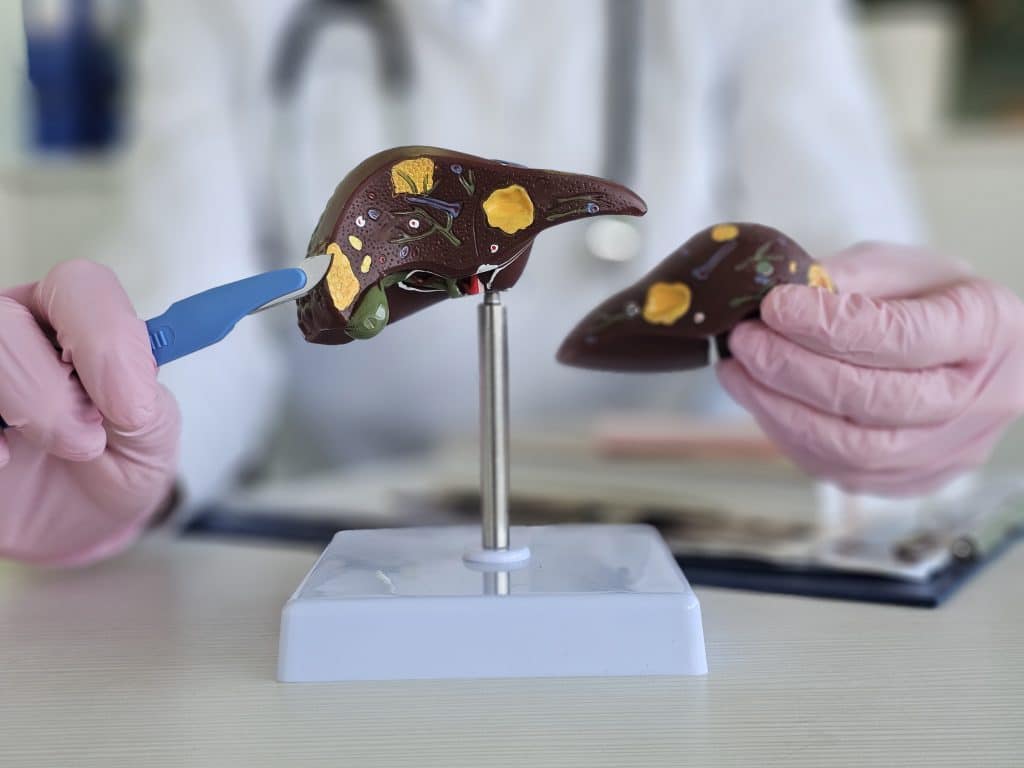 تحاليل وظائف الكبد والكلى متى تحتاجها؟